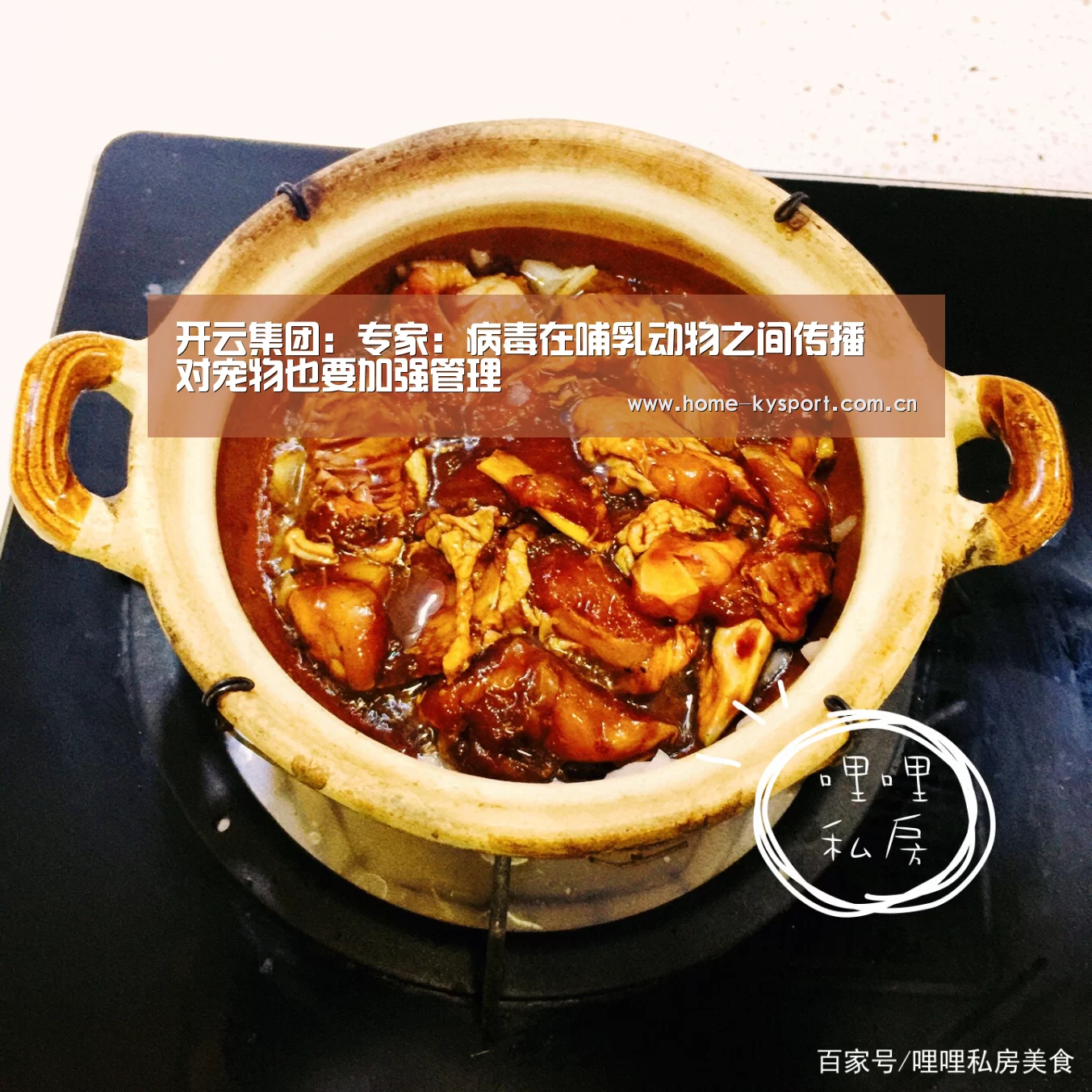 开云集团:专家:病毒在哺乳动物之间传播 对宠物也要加强管理(图4) 开云体育