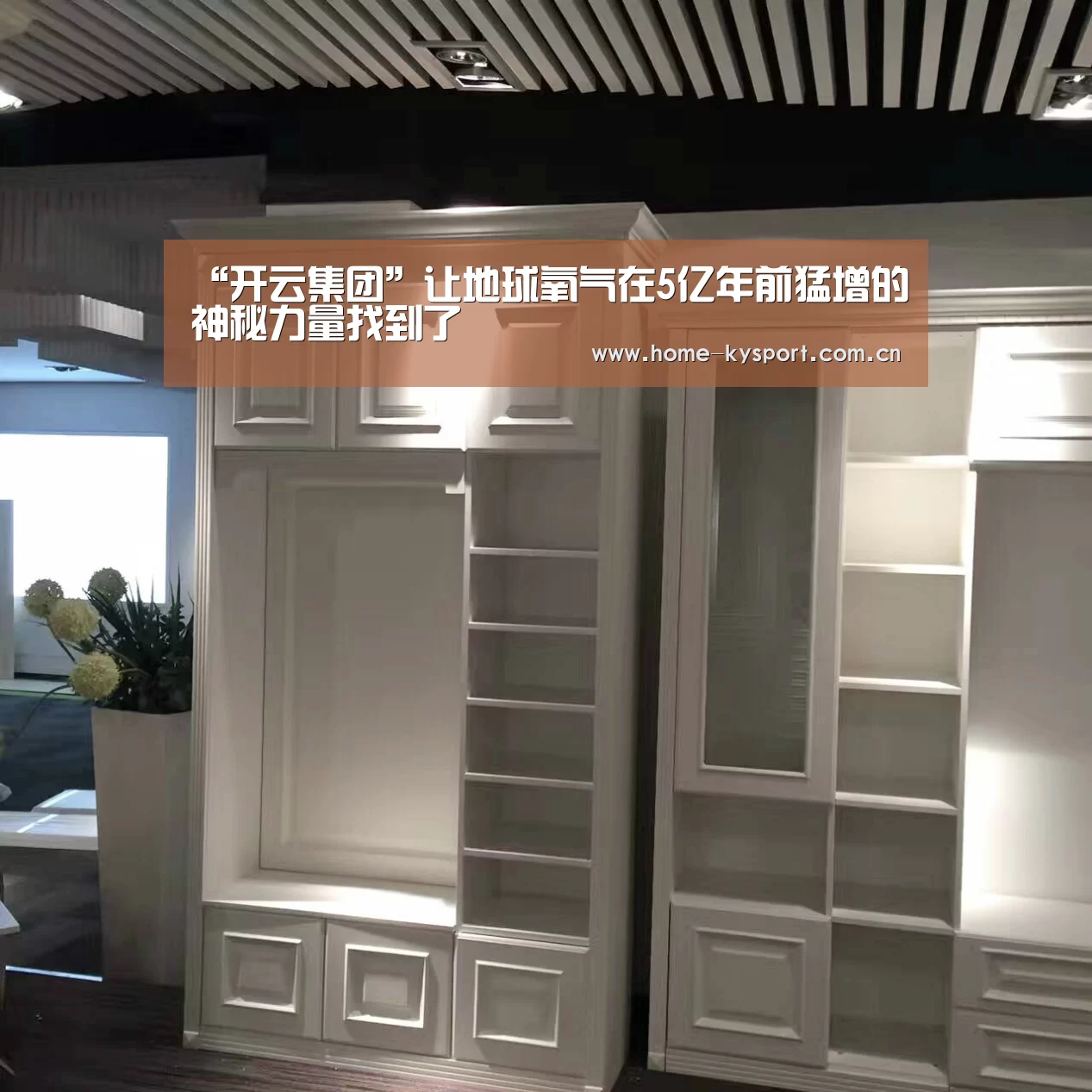 “开云集团”让地球氧气在5亿年前猛增的神秘力量找到了(图3) 开云体育官网