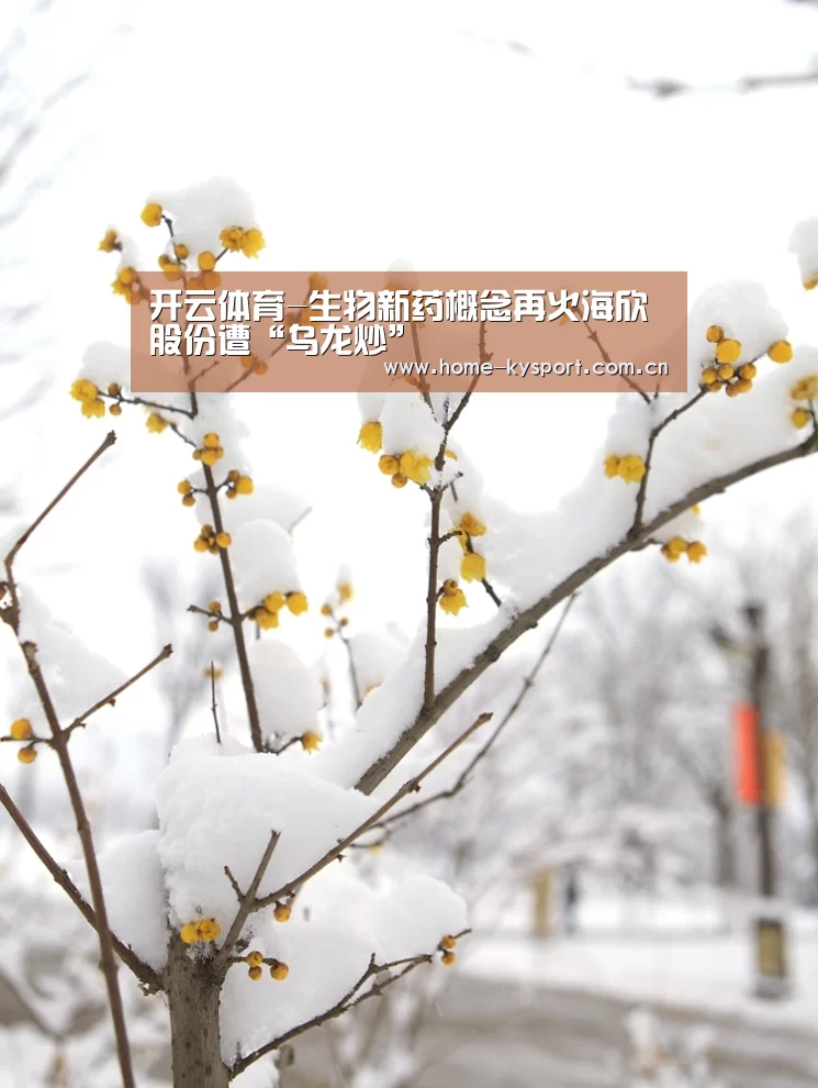 开云体育-生物新药概念再火海欣股份遭“乌龙炒”(图1) 开云体育